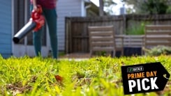 woman using leaf blower on lawn