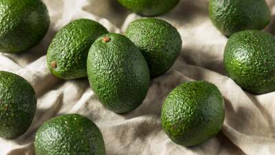 Green avocados scattered on a tan tablecloth. 