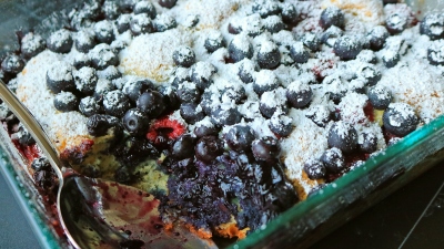 Close-up of a blueberry grunt. 