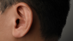 A person's head, in profile, focused on the ear