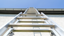 view looking up a ladder against a house