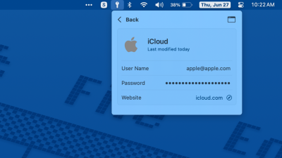 Viewing a password entry in Apple Passwords menu bar utility. 
